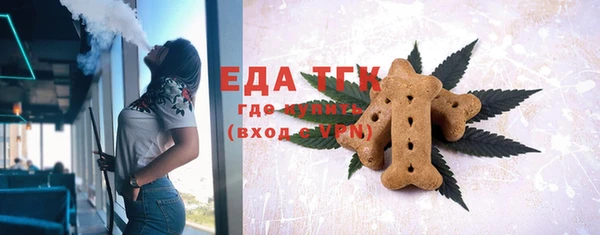 шишки Тында