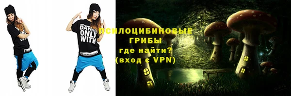 спиды Тутаев