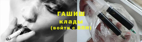 шишки Тында