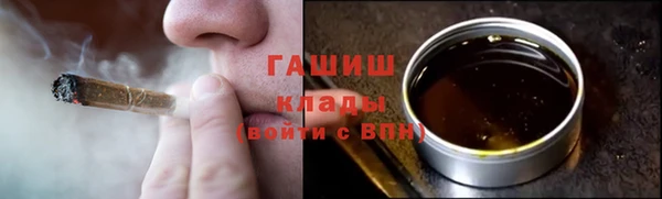 шишки Тында