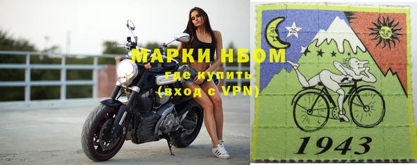 шишки Тында