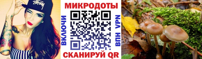 Купить  Александровское  Псилоцибиновые грибы мухоморы 